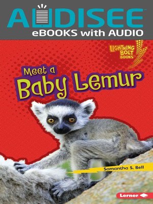 cover image of Meet a Baby Lemur